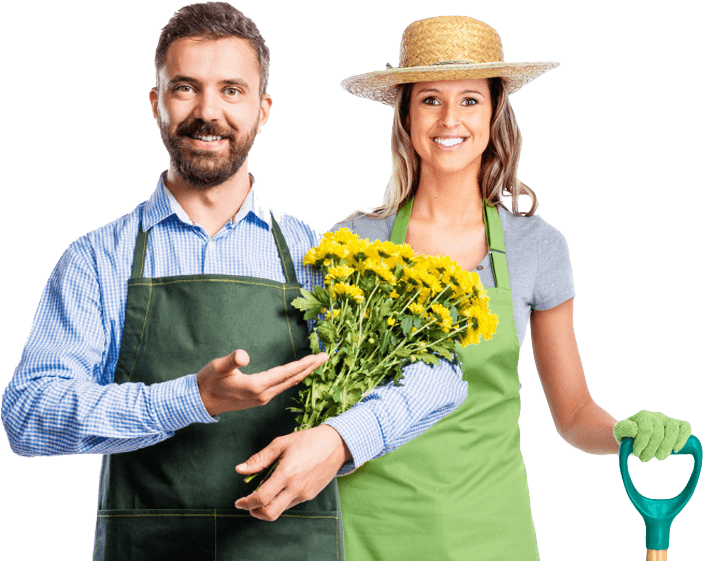 Garden Maintenance Canberra