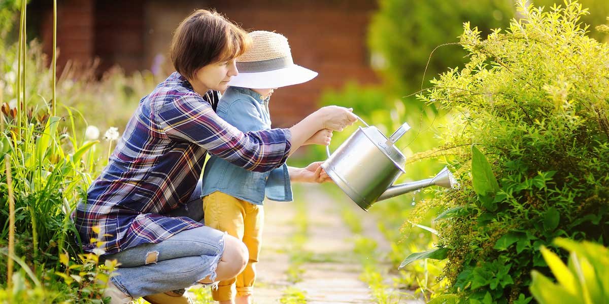 Planting Canberra