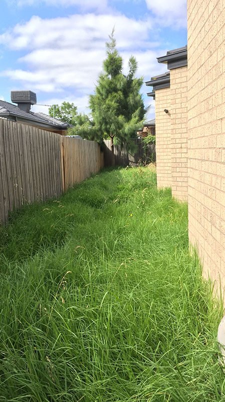 Canberra Lawn Mowing Services