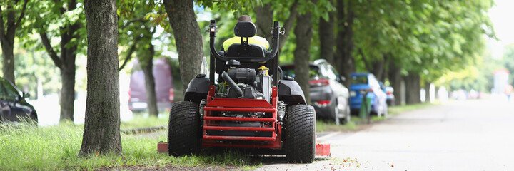 Tree Cutting Services