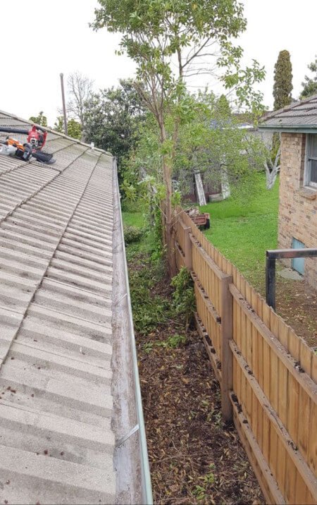 Gutter Cleaning Canberra