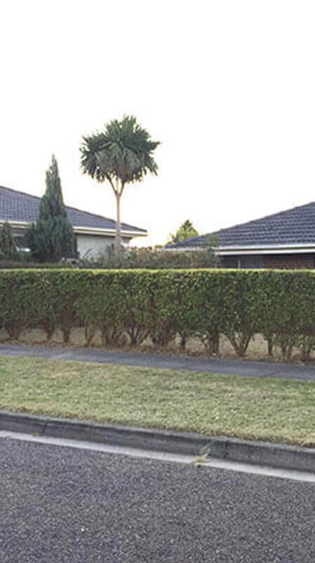 Mulching Canberra