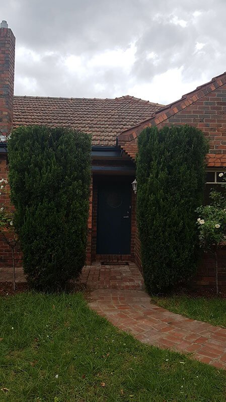 Hedging and Pruning Canberra