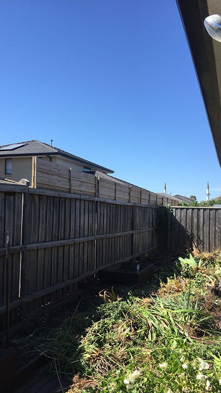 Hedging and Cleaning Canberra