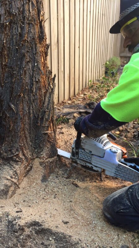 Tree Removal Canberra