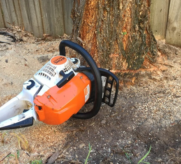 Tree Removing Services