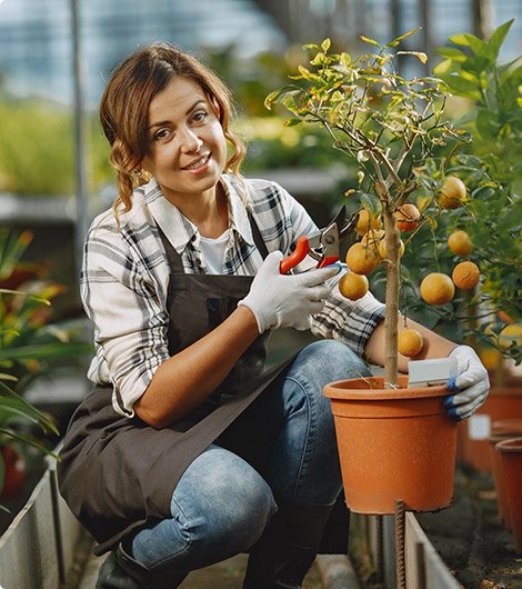 Arborist Canberra