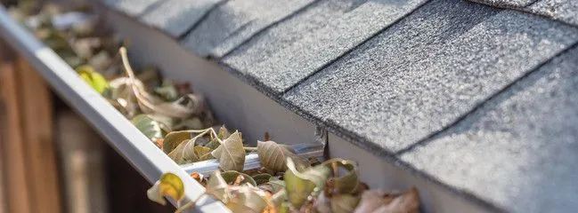 Gutter Cleaning Services